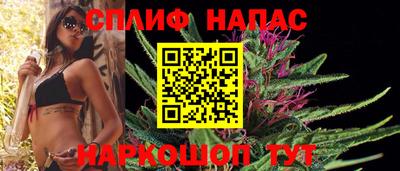 индика Ирбит