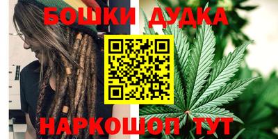 индика Ирбит