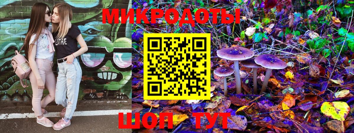 Галлюциногенные грибы MAGIC MUSHROOMS  Вход с VPN  Курчатов 